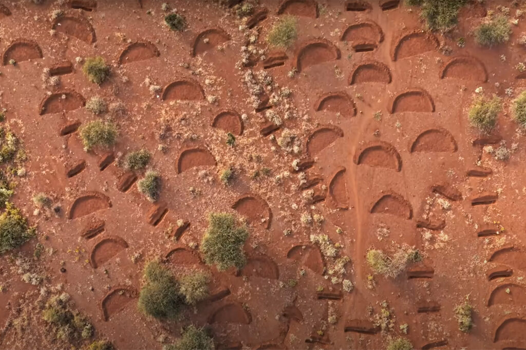 Restoring Dead Soil in Kenya - Planet Wild