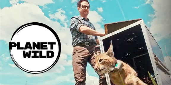 Planet Wild